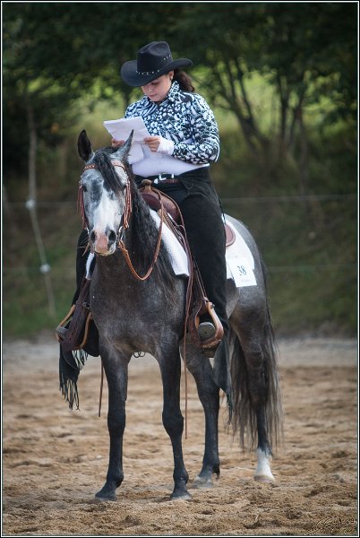 MP Stable29